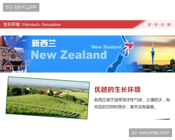 新西兰G组积分预测分析